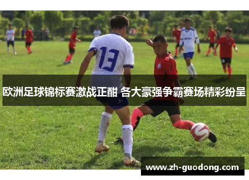 欧洲足球锦标赛激战正酣 各大豪强争霸赛场精彩纷呈